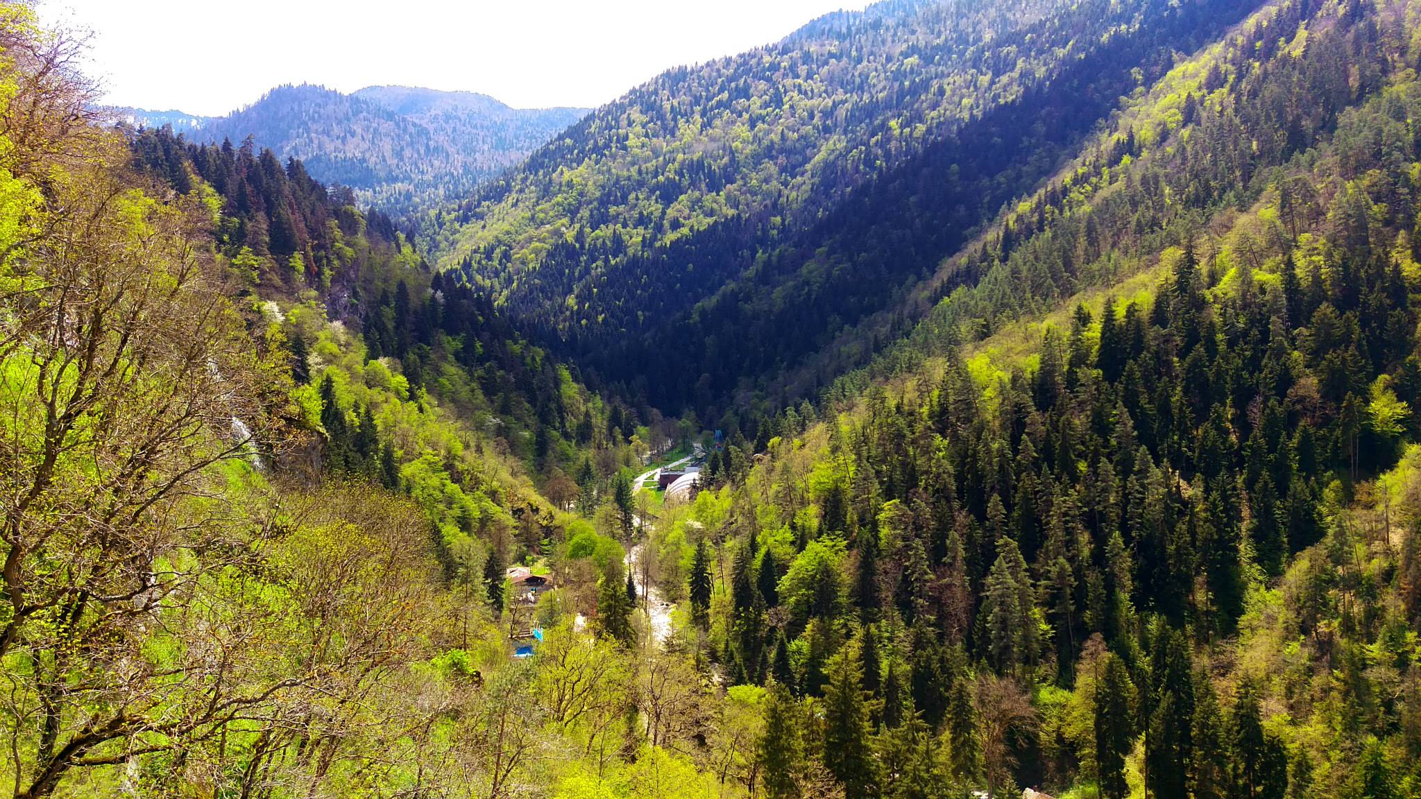 Borjomi Valley from Cable Car