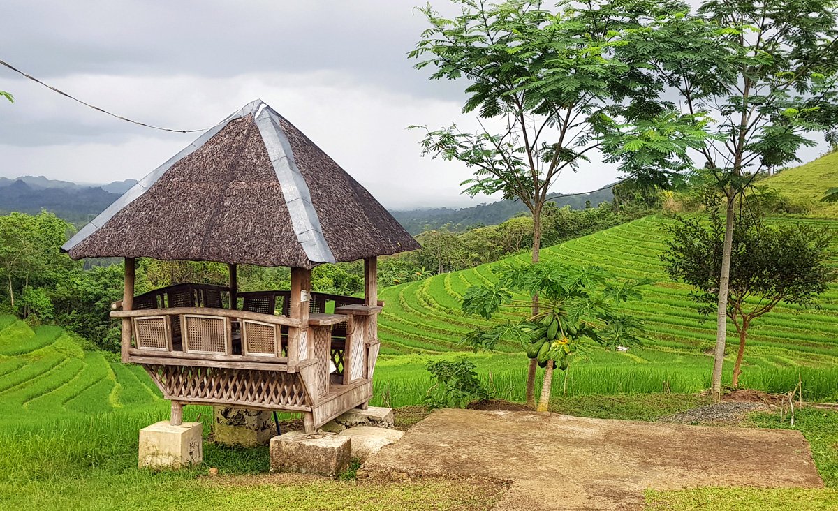 Cadapdapan Rice Terraces, Bohol