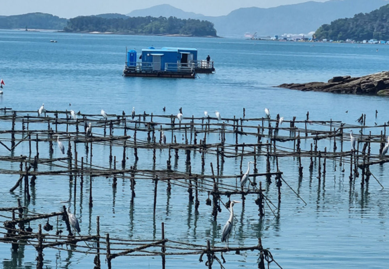 Fishing waters of Namhae Island