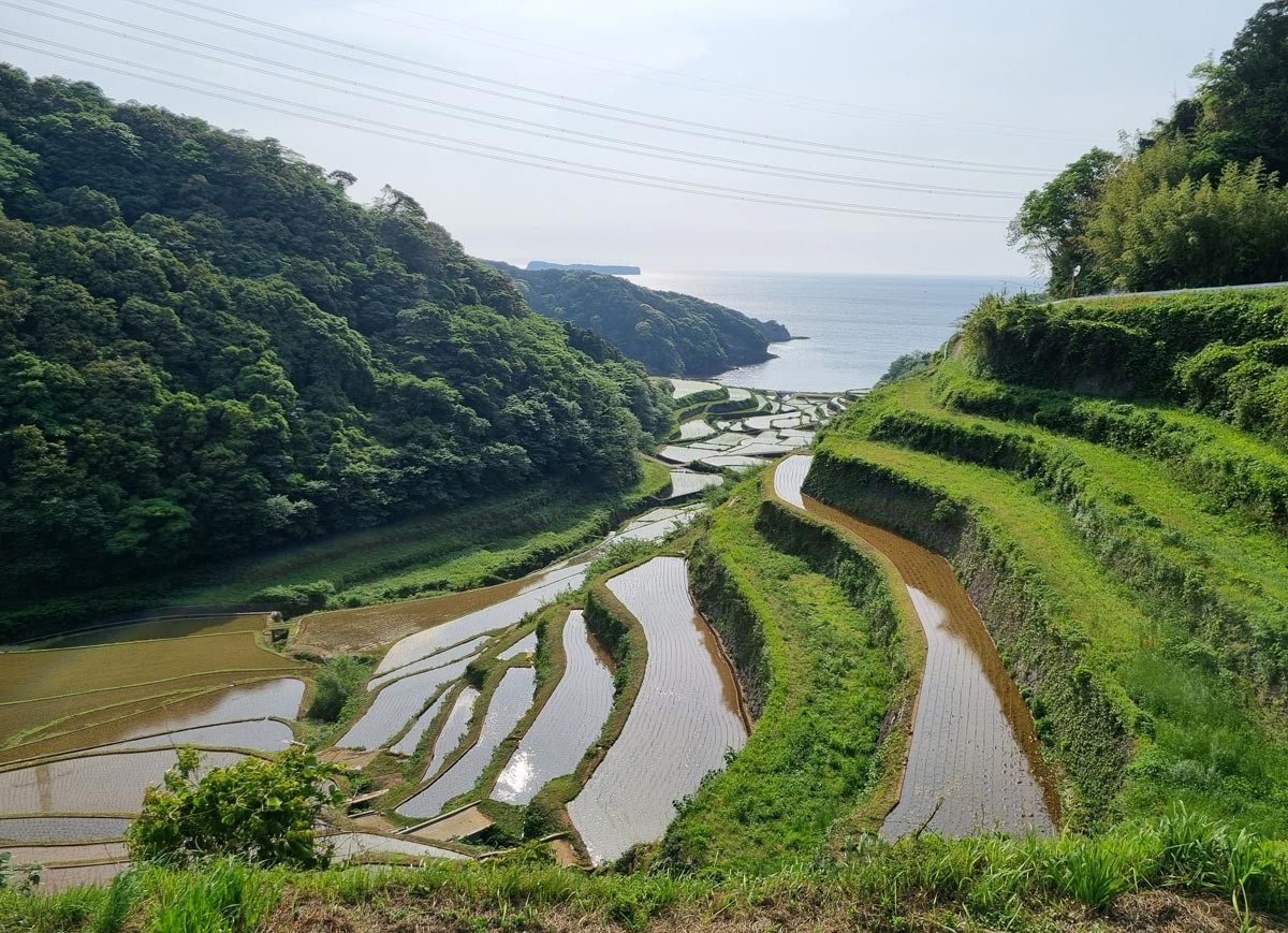 Terraced rice fields of Hamanoura