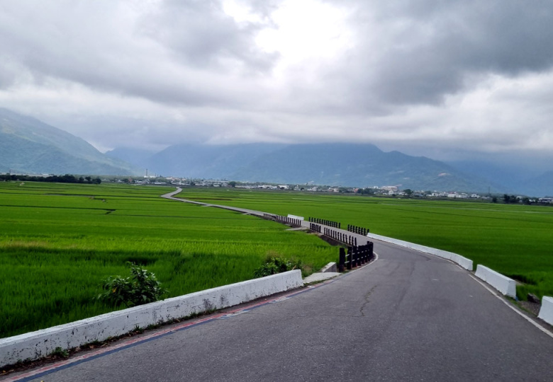 Rice paddies near Mr Brown Avenue, Chishang, Taiwan