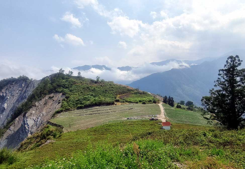 Tea terraces and mountain background along southern cross-island highway, Taiwan