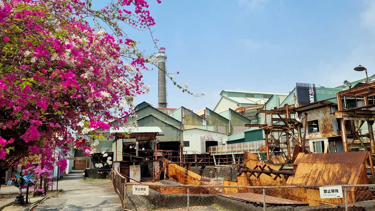 Ciaotou Sugar Refinery and blossoming pink tree in Kaohsiung, Taiwan