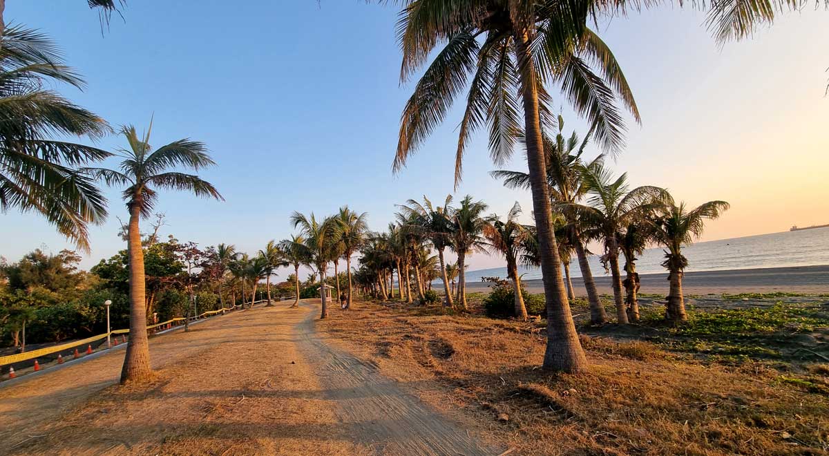 Palm tree lined beach at sunset, Cijin Island, Kaohsiung