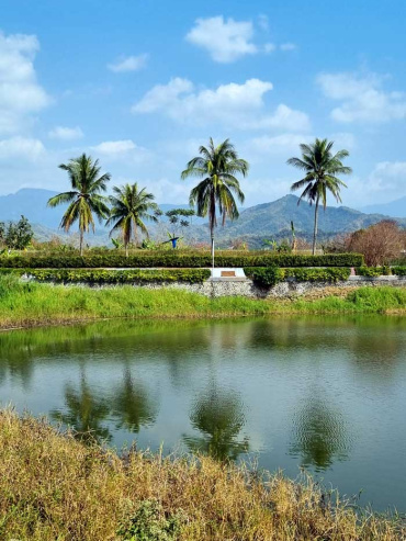 Palm trees reflection in Meinong Lake, Kaohsiung County, Taiwan